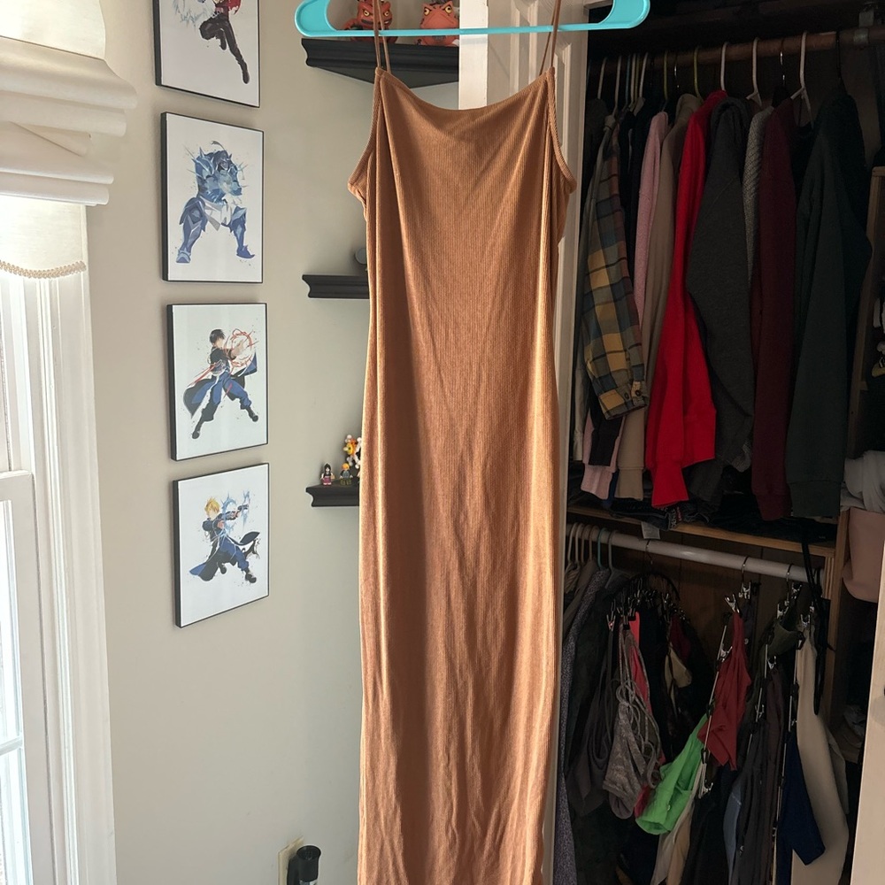 Elegant Tan Dress